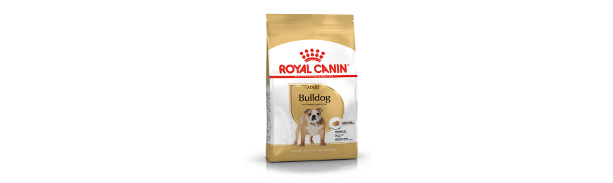 雙11優惠 Royal Canin 金裝專用犬隻系列